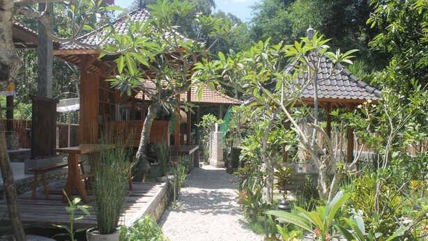Un sendero de jardín que conduce a una construcción de madera con techo de tejas.