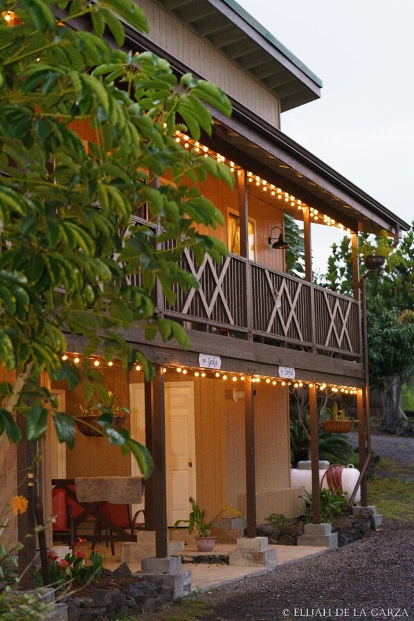 Exterior - Ocean View / The Gecko - Major renovations just completed. (Ocean View)