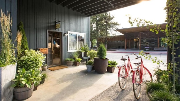 Entrada de un hotel con porche cubierto, plantas en macetas y bicicletas.