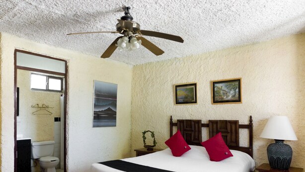 A bedroom with a bed, a ceiling fan, a nightstand with a lamp, and a bathroom visible through an open door. - Hotel Santa Rosa (General Cepeda)