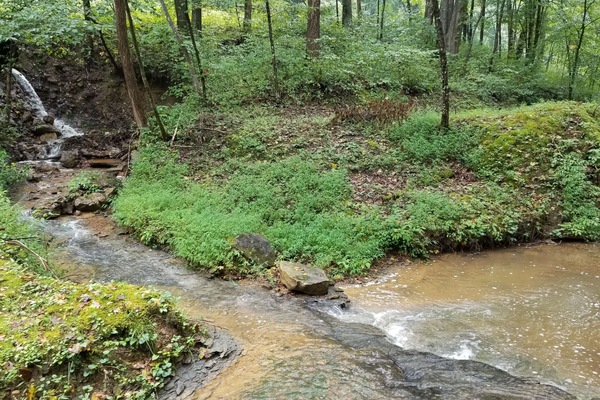 المنطقة المحيطة بالمنشأة