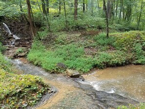 Un área boscosa con un arroyo que la atraviesa.