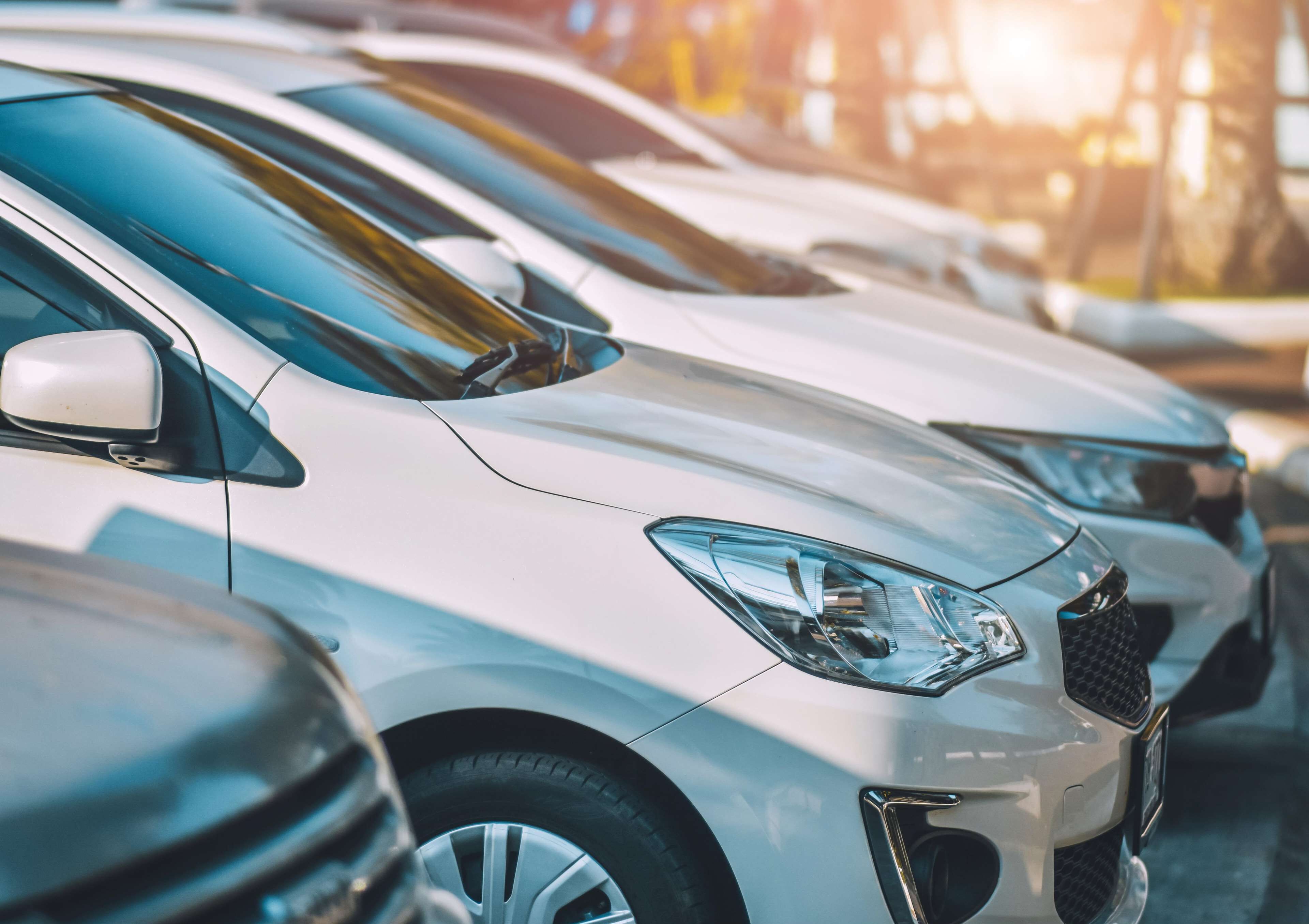 lunch, dinner served; french cuisine, garden views