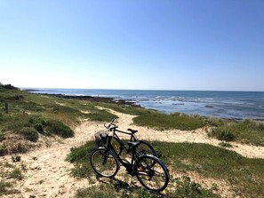 Beach - LE STUDIO, Gîte 3. Clos des Aigrettes,  30m from La Cotiniere Port (Saint-Pierre-d'Oléron)