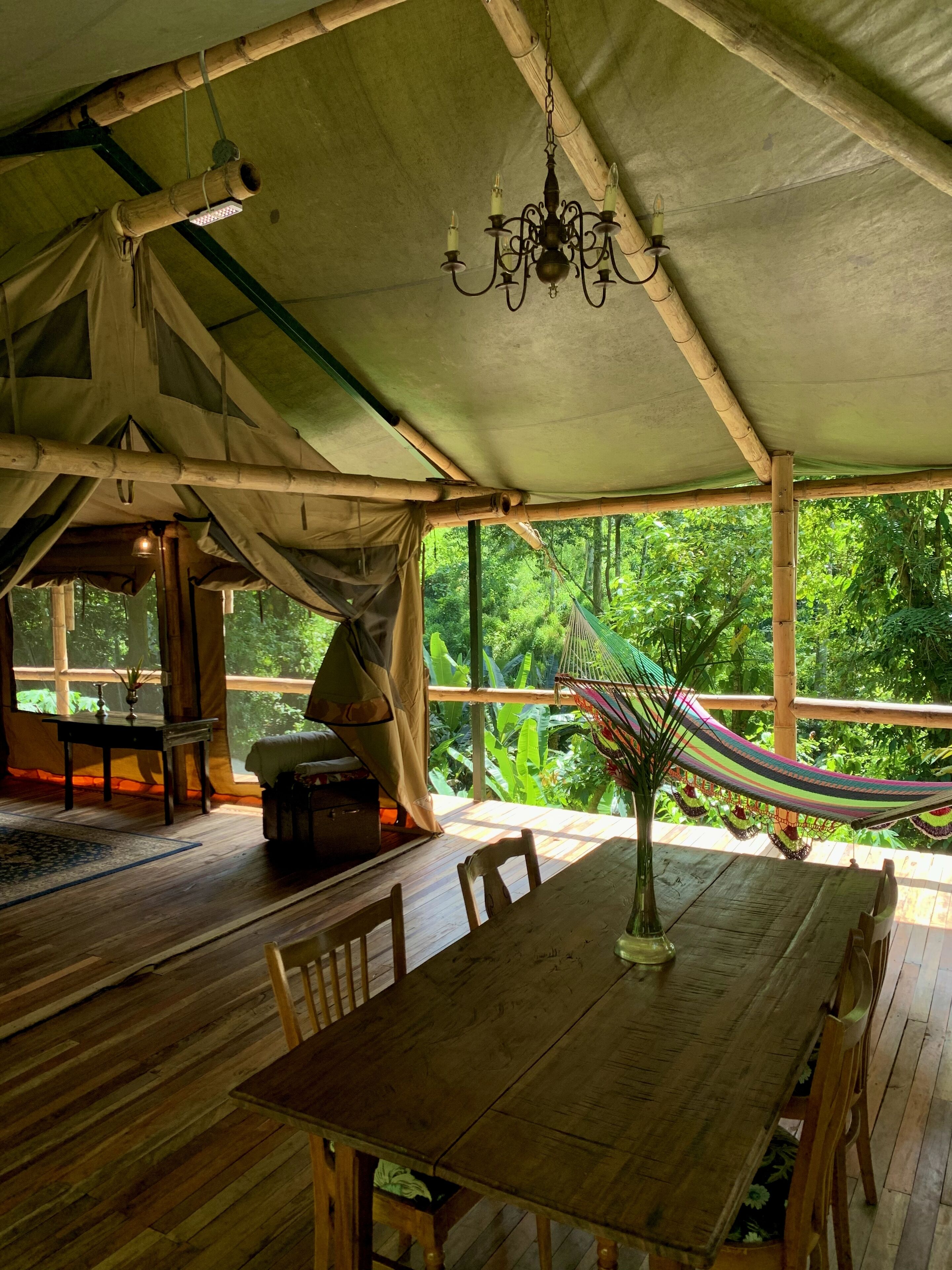 Une table à manger en bois avec des chaises, un hamac suspendu et une lampe au plafond, le tout dans une pièce aménagée comme une tente et offrant une vue sur une végétation luxuriante.