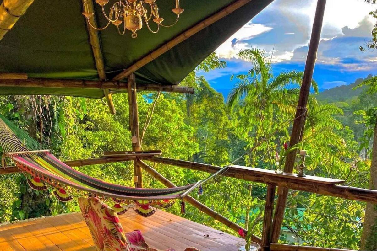 Eine Holzterrasse mit einer Hängematte und Stühlen, mit Blick auf einen üppigen grünen Wald.