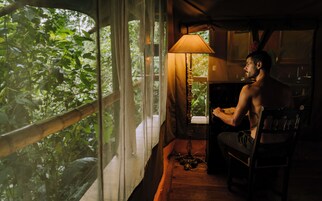 Un hombre sentado junto a una ventana con una lámpara, mirando un bosque verde y frondoso.