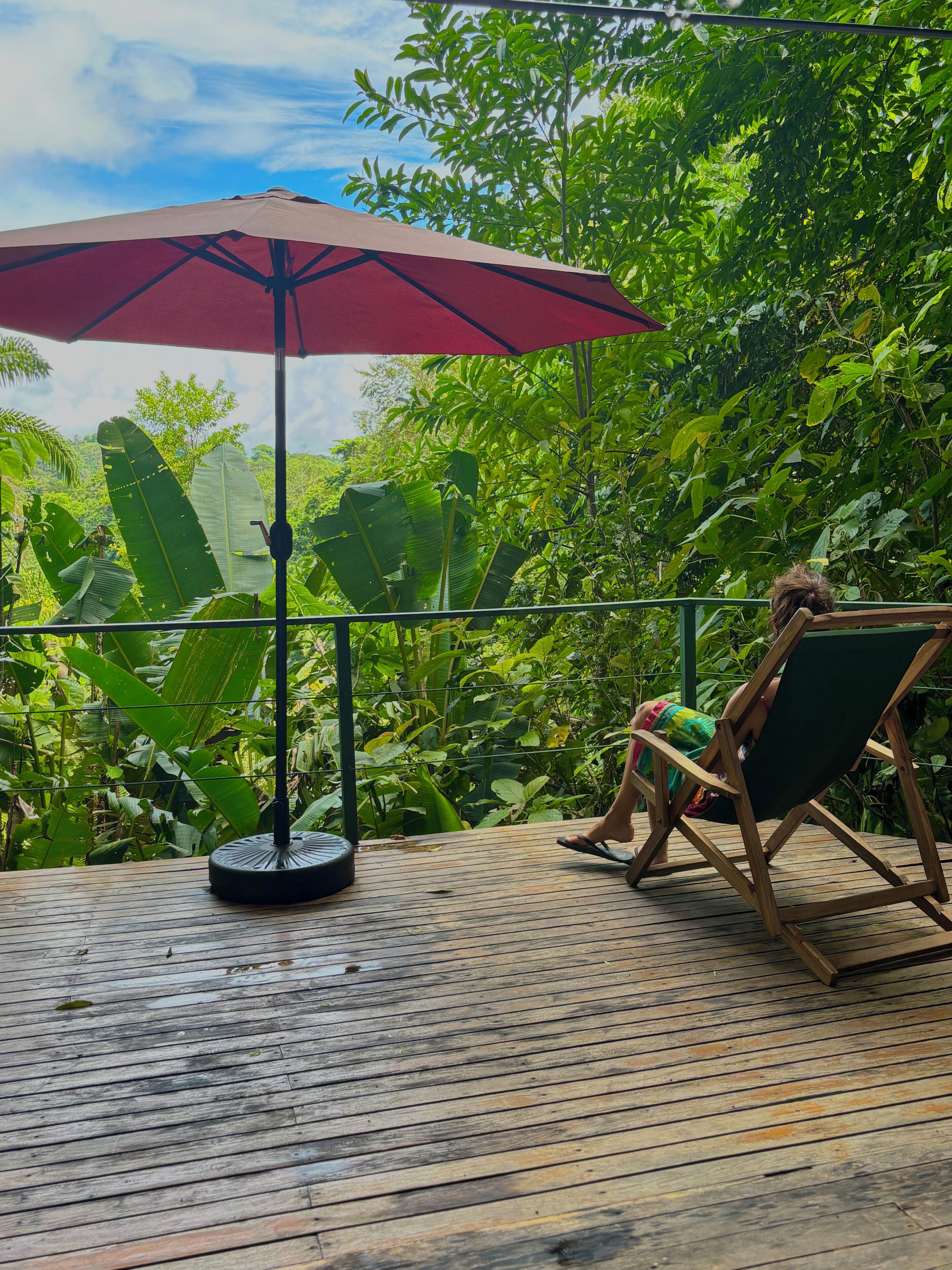 Glamping Tent - Van Gogh | View from room