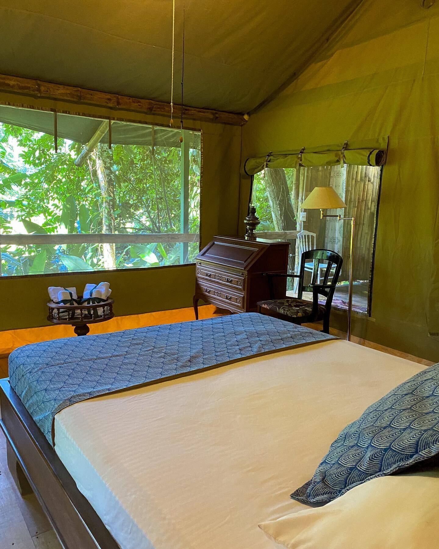 Glamping Tent - Jules Verne | View from room