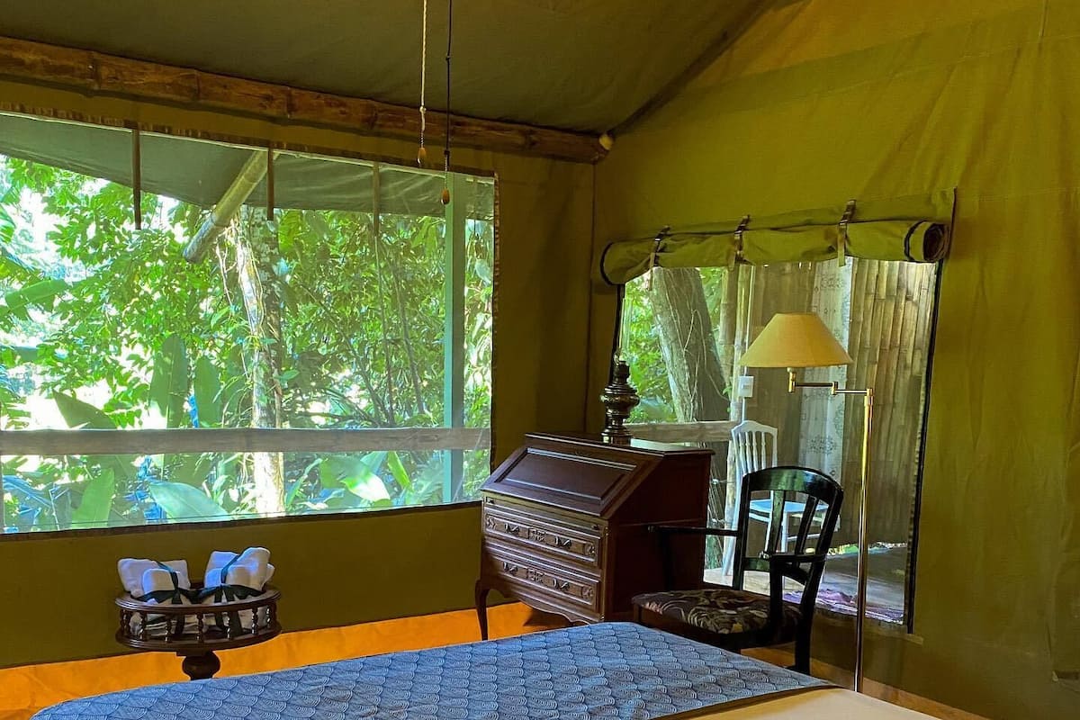 Glamping Tent - Jules Verne | View from room