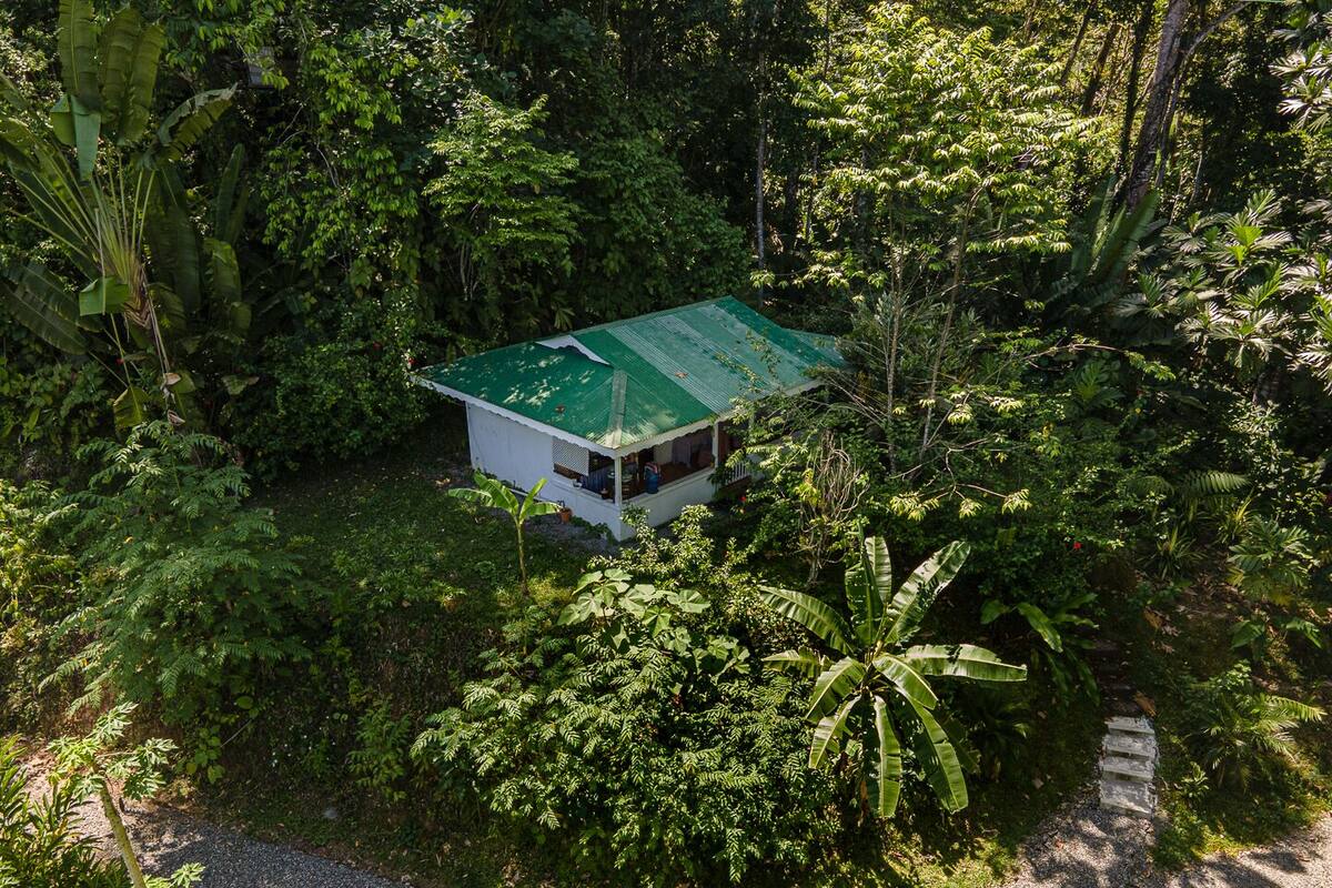 Ein kleines Haus mit einem grünen Dach, umgeben von üppiger tropischer Vegetation.