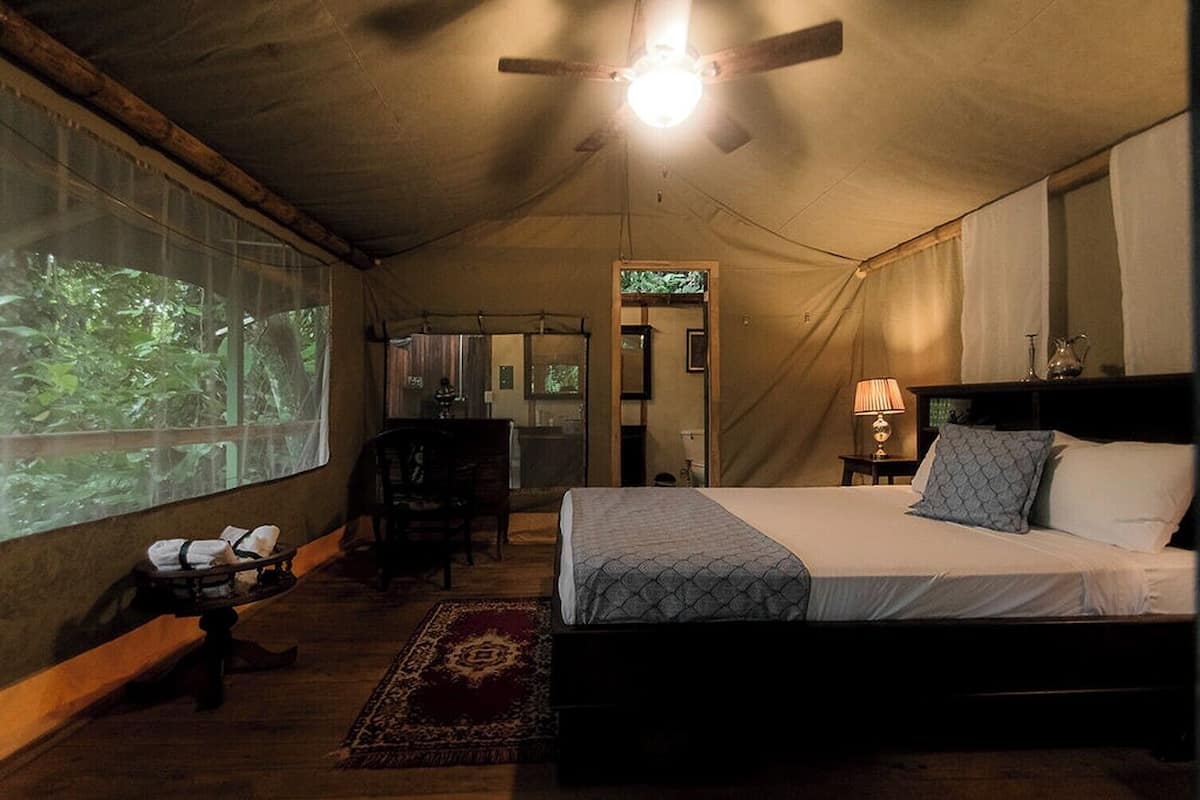 Design Tree House, Hill View | 1 bedroom, down comforters, desk, laptop workspace