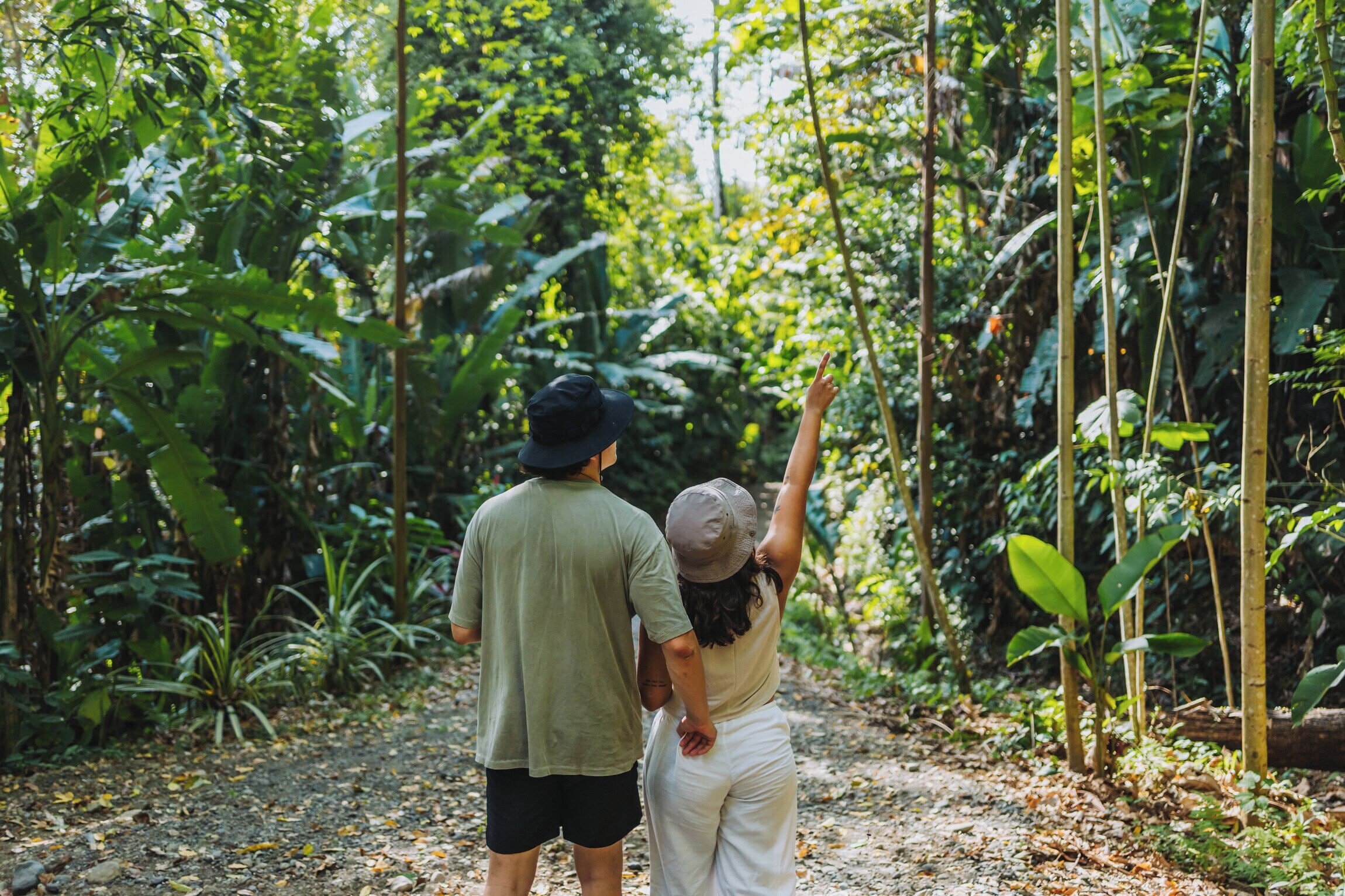 A couple walking on a dirt path surrounded by dense greenery.
