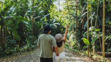A couple walking on a dirt path surrounded by dense greenery.