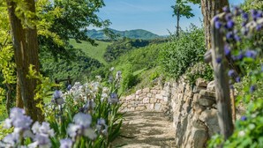 A stone pathway surrounded by lush greenery and purple flowers, leading to a stone wall.