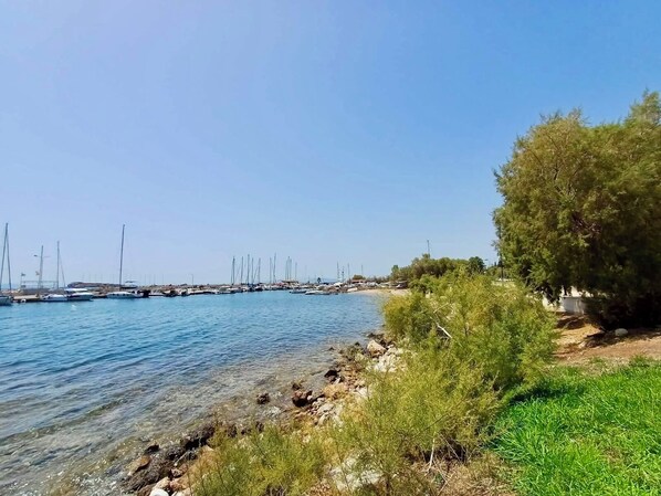 A coastal marina with boats docked, clear water, and a rocky shoreline with vegetation.