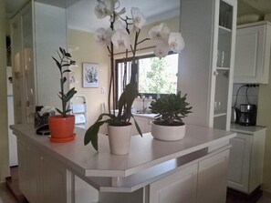 A kitchen with white cabinets, a countertop with three potted plants, and a window with curtains. - 3BR Greek Riviera Escape | Near Voula Beach & Athens Riviera (Voula)