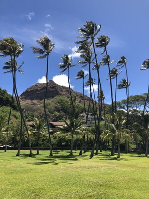Property grounds - OCEANFRONT PROPERTY DIAMOND HEAD BEACH HOTEL unit 704 (Honolulu)