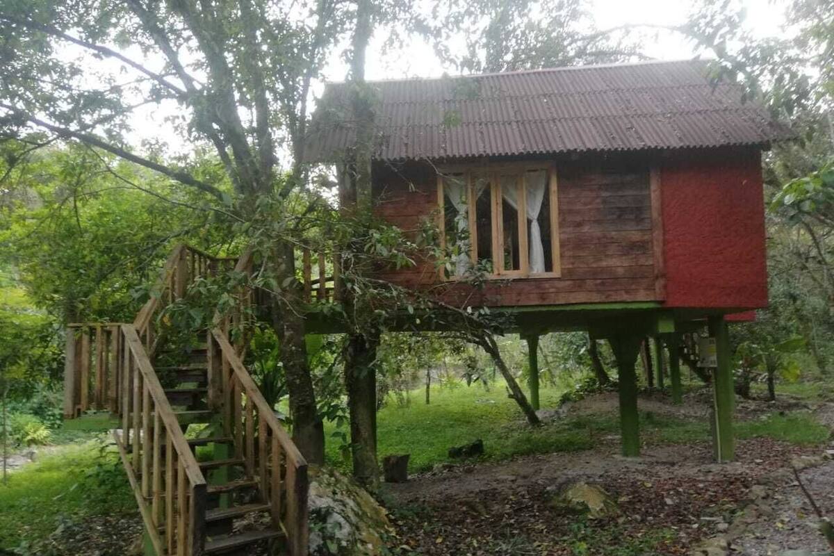 Tree House Familiale