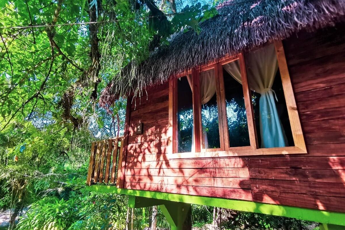 Tree House Supérieure