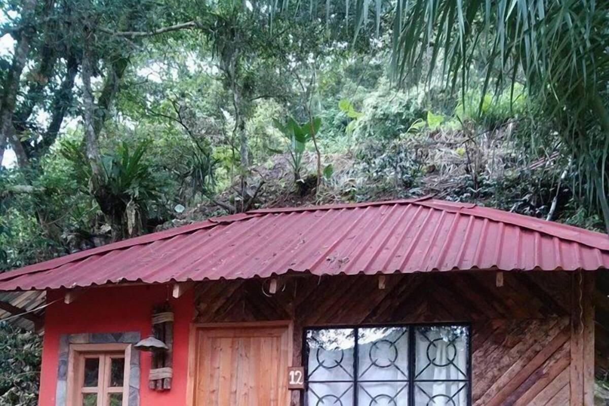 Sofia Cabin