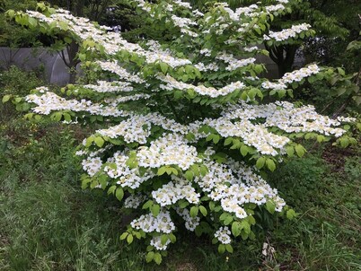 Paradis la Provence entre Vienne et Lyon