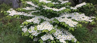 Paradis la Provence entre Vienne et Lyon