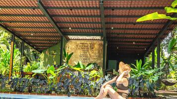 Outdoor pool, pool loungers