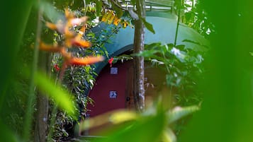 Puutarha