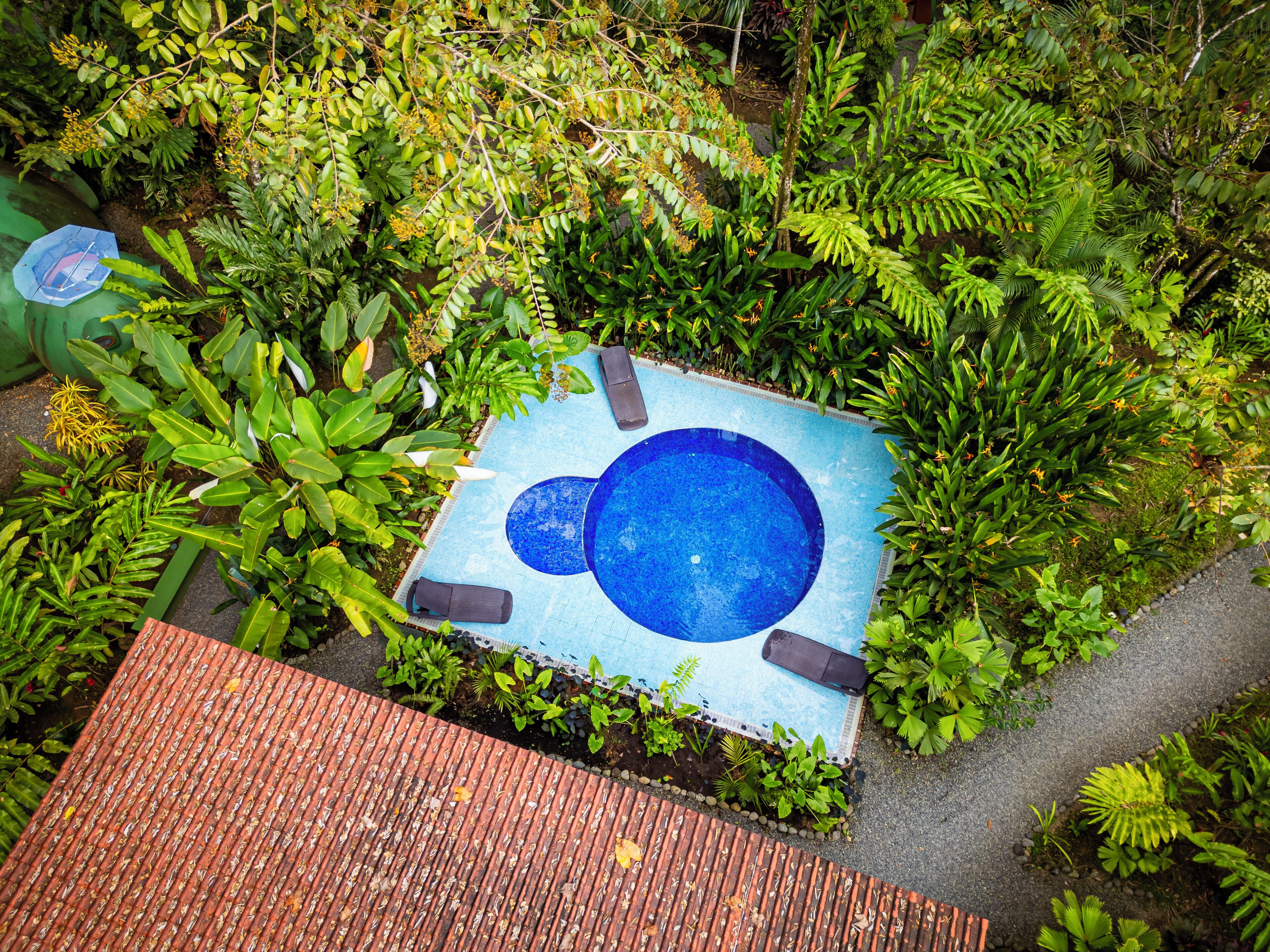 Een buitenzwembad en ligstoelen