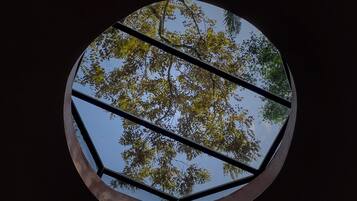 Una ventana circular con vistas a árboles y al cielo.