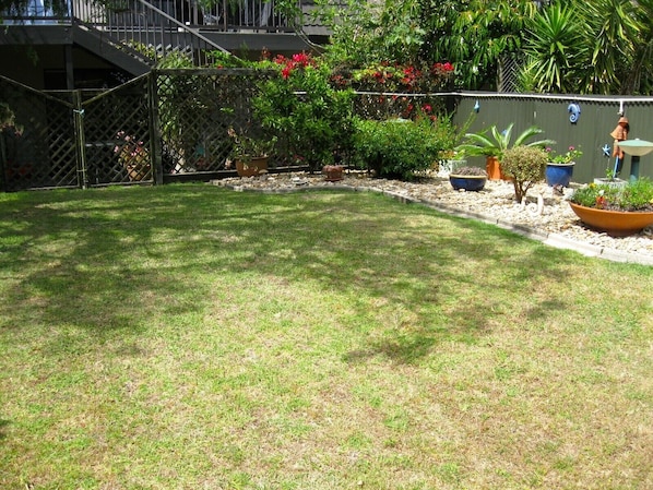 A well-maintained backyard with a grassy lawn, a small tree, and various potted plants. - Cooks Beach Gem - Cooks Beach Holiday Home (Cooks Beach)