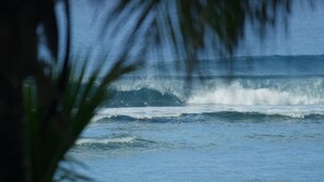 A view of the ocean with waves crashing onto the shore, partially obscured by foliage.