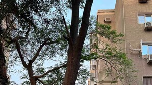 Un edificio residencial con varios balcones, una escalera que lleva a la entrada y un árbol en primer plano.