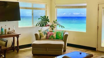Smart TV, books, music library, video library