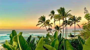 Plage, chaises longues, serviettes de plage