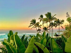 On the beach, sun loungers, beach towels - Beautiful ocean views, just steps away from Banzai Pipeline (Haleiwa)