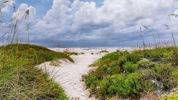 A sandy beach path leading to the ocean, surrounded by grassy dunes and vegetation. - Beachfront condo with direct pool & ocean view on St Augustine Beach (St Augustine Beach)
