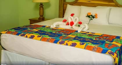 Standard Double 1, 1 Queen Bed, Garden View