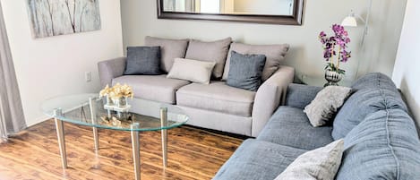 TV, Netflix og strømmetjenester