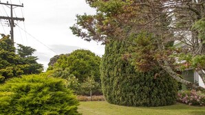 A well-maintained garden with various shrubs and a neatly trimmed lawn. - Holiday Haven - Whitianga Bach (Whitianga)