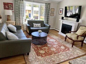 Smart TV, fireplace, DVD player, books