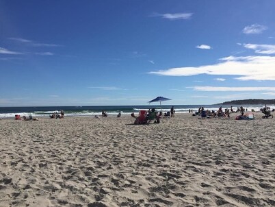 Salt Pool, AC, Peaceful and Comfortable, Near Beaches and Newport! PETS welcome!