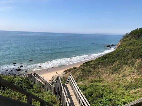 Plage à proximité, chaises longues, serviettes de plage