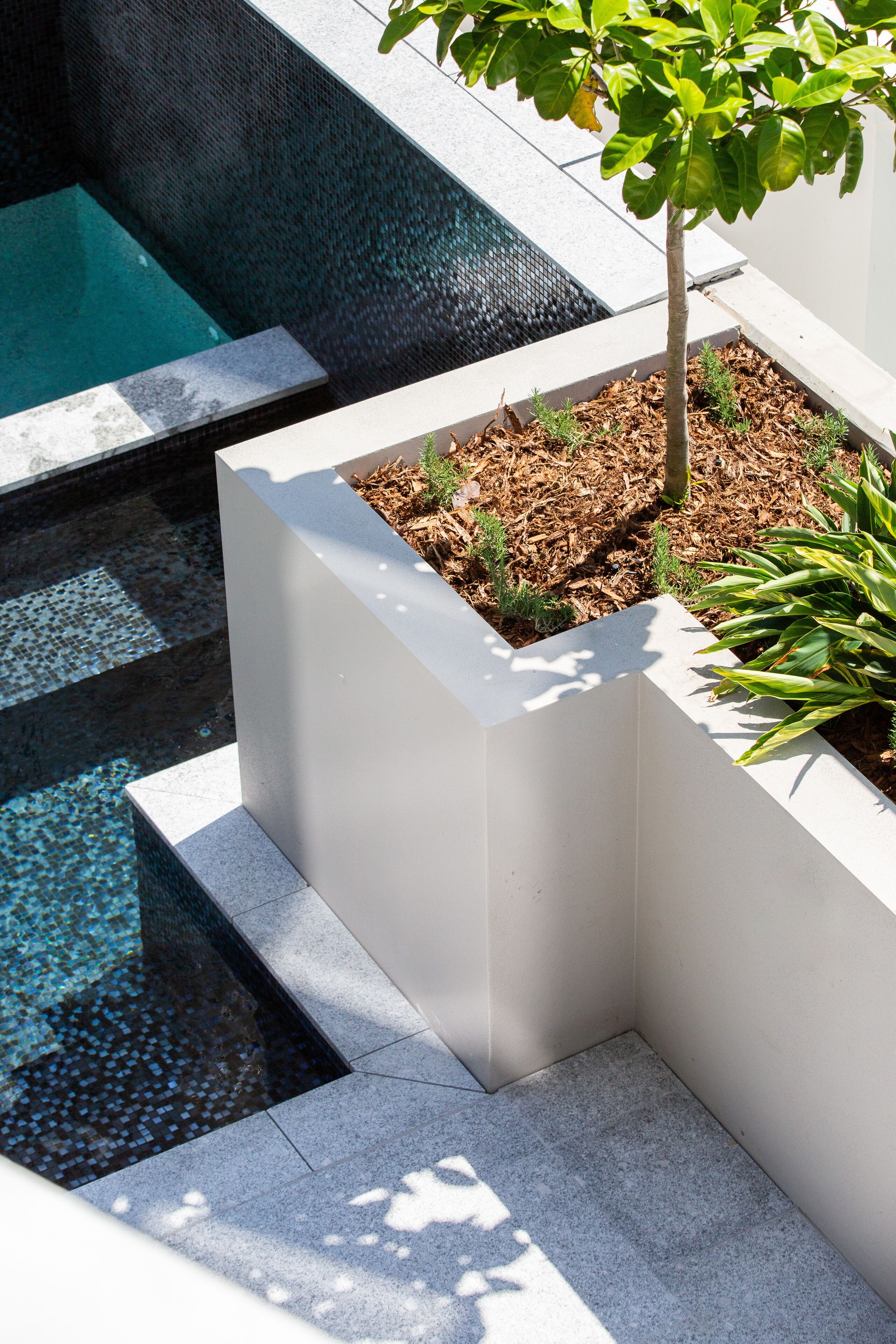 A modern outdoor pool area with a geometric design, surrounded by white planters with small plants.