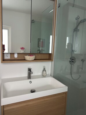 Combined shower/tub, hair dryer, towels, soap