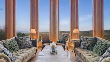 Televisión, chimenea y libros