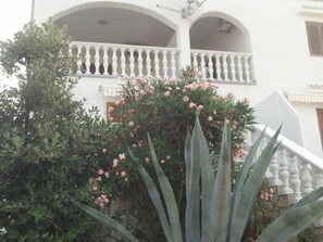 Detalle exterior