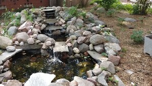 A small pond with a waterfall, surrounded by rocks and plants. - Historic Victorian Inn (Sioux Falls)