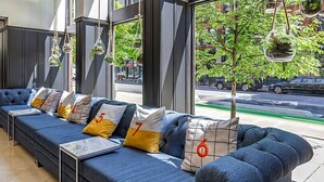 A modern hotel lobby with a long blue sofa, numbered pillows, and hanging planters. - Downtown Printer Row district Hotel style room (Chicago)
